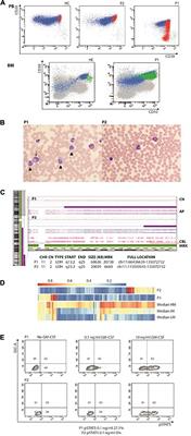 Abnormal B-Cell Maturation and Increased Transitional B Cells in CBL Syndrome